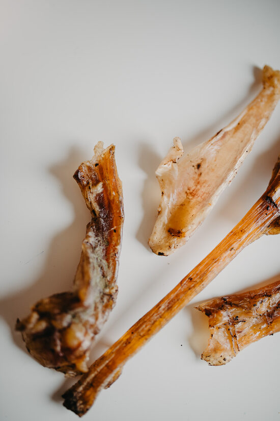 BEEF TENDONS